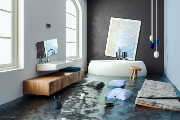 Best Mold removal after water damage  in Watauga, TX