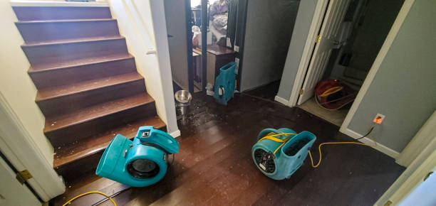 Best Basement water damage restoration  in Watauga, TX