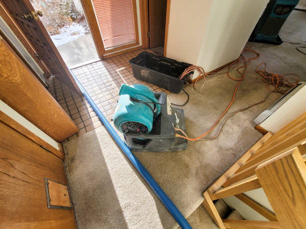 Best Sewage cleanup and water damage restoration  in Watauga, TX