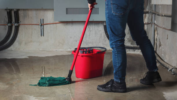 Best Ceiling water damage repair  in Watauga, TX