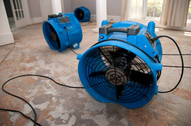  Watauga, TX Water damage restoration Pros
